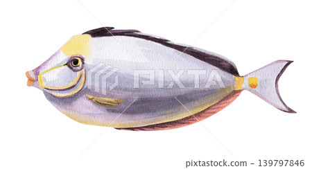 Rhinoceros fish. Isolated watercolor illustration of this sea creature for children's books, greeting cards, themed parties, and designs related to the sea, ocean, and nature. 139797846