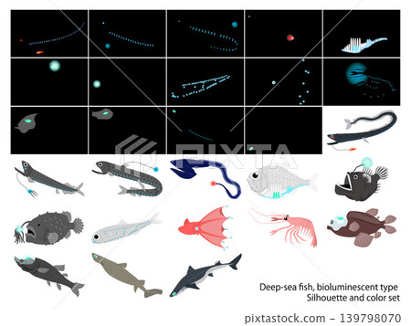 Deep-sea fish bioluminescent type: Black background and colored icon set Deep-sea fish bioluminescent type: Black background and colored icon set 139798070
