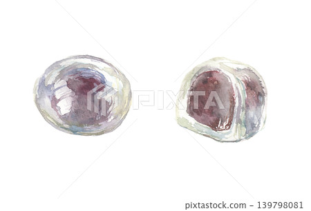 葛根饅頭水彩插畫集 葛根饅頭水彩插畫集 139798081