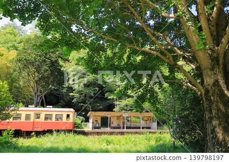 Kominato Railway: "Kazusa-Okubo Station nestled in a forest in early summer" Kominato Railway: "Kazusa-Okubo Station nestled in a forest in early summer" 139798197