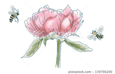 一幅牡丹花和蜜蜂的素描。 139798200