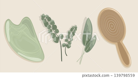 Minimalist Spa Set Vector Top View of Jade Guasha Stone Wooden Massage Brush Sage Herb and Eucalyptus Branches for Eco Wellness Skincare Branding Minimalist Spa Set Vector Top View of Jade Guasha Stone Wooden Massage Brush Sage Herb and Eucalyptus Branches for Eco Wellness Skincare Branding 139798559