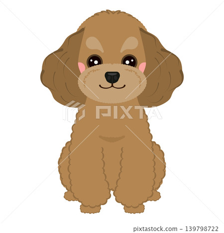 Sitting toy poodle 139798722