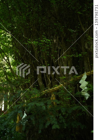 Kibune shrine Kibune shrine 139798731
