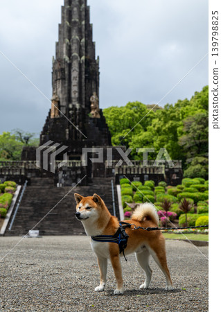平和台公園裡有一隻柴犬 平和台公園裡有一隻柴犬 139798825