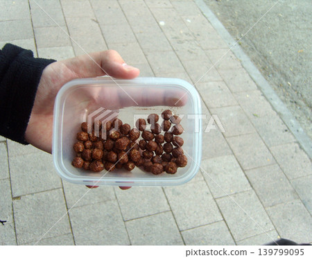 Hand holding a plastic food container filled with chocolate cereal balls outdoors on a city sidewalk. Casual snack on the go with crunchy breakfast cereal in a portable lunch box Hand holding a plastic food container filled with chocolate cereal balls outdoors on a city sidewalk. Casual snack on the go with crunchy breakfast cereal in a portable lunch box 139799095
