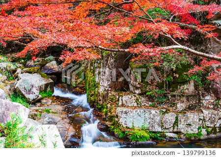 Gokei Gorge: Late Autumn Foliage and Stream (Part 4), Soja City, Okayama Prefecture Gokei Gorge: Late Autumn Foliage and Stream (Part 4), Soja City, Okayama Prefecture 139799136