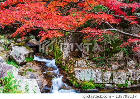 Gokei Gorge: Late Autumn Foliage and Streams (Part 5) - Soja City, Okayama Prefecture Gokei Gorge: Late Autumn Foliage and Streams (Part 5) - Soja City, Okayama Prefecture 139799137
