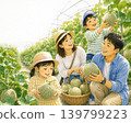 一幅描繪一家人在旅遊農場享受採摘甜瓜的插圖。 139799223