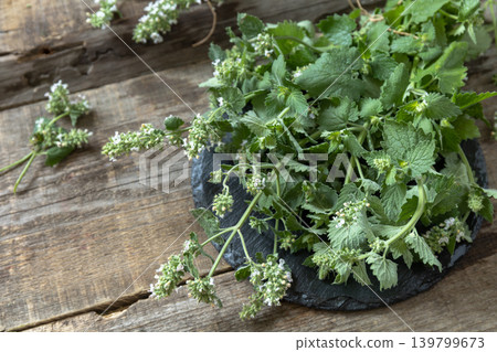 Fresh green mint melissa with flowers on a rustic wooden table. Organic natural plant leaf. Fresh green mint melissa with flowers on a rustic wooden table. Organic natural plant leaf. 139799673