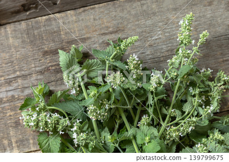 Fresh green mint melissa with flowers on a rustic wooden table. Organic natural plant leaf. View from above. Fresh green mint melissa with flowers on a rustic wooden table. Organic natural plant leaf. View from above. 139799675