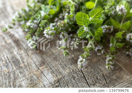 Fresh green mint melissa with flowers on a rustic wooden table. Organic natural plant leaf. Fresh green mint melissa with flowers on a rustic wooden table. Organic natural plant leaf. 139799676