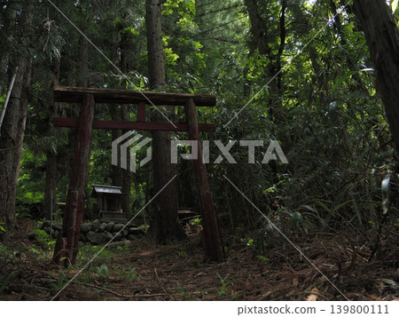 A mysterious and ominous small torii gate in the middle of the forest A mysterious and ominous small torii gate in the middle of the forest 139800111