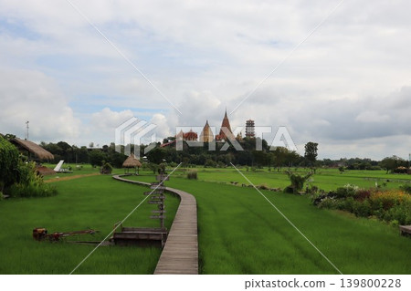 Rice Fields and Temple Complex Landscape Rice Fields and Temple Complex Landscape 139800228