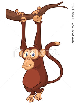 Cartoon funny brown monkey chimpanzee hanging from the wood branch. Vector illustration isolated on white Cartoon funny brown monkey chimpanzee hanging from the wood branch. Vector illustration isolated on white 139801743