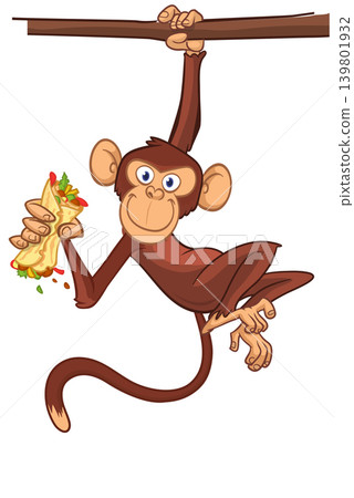 Cartoon funny monkey chimpanzee holding burger, falafel or kebab in his hands. Vector illustration of happy monkey character design isolated. Cartoon funny monkey chimpanzee holding burger, falafel or kebab in his hands. Vector illustration of happy monkey character design isolated. 139801932