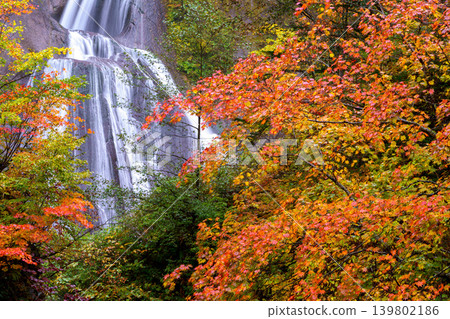 Hagoromo Falls and the stunning autumn foliage in Tenninkyo Gorge, Higashikawa Town, Hokkaido - One of Japan's Top 100 Waterfalls Hagoromo Falls and the stunning autumn foliage in Tenninkyo Gorge, Higashikawa Town, Hokkaido - One of Japan's Top 100 Waterfalls 139802186