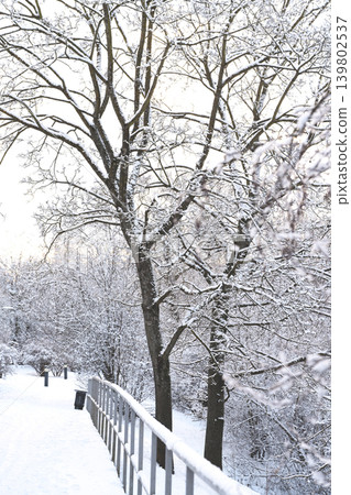 Path in a snowy park. Winter landscape. Path in a snowy park. Winter landscape. 139802537