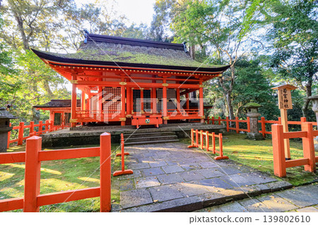Wakamiya Shrine, a nationally designated important cultural property in the grounds of Usa Jingu Shrine in Oita Prefecture Wakamiya Shrine, a nationally designated important cultural property in the grounds of Usa Jingu Shrine in Oita Prefecture 139802610