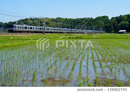 E235系列列車穿越鄉村 E235系列列車穿越鄉村 139802743