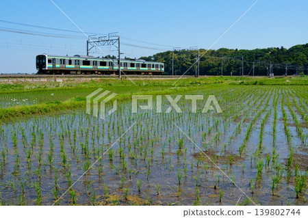 初夏時節的蘇武本線和E131系列列車 初夏時節的蘇武本線和E131系列列車 139802744