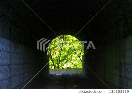 [Kanagawa Prefecture] Hiking course from Sakai Tunnel to Yushin Valley 139803319