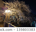 Cherry blossoms at night on the riverbank with a streetlamp on the left. 139803383