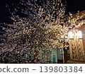 Cherry blossoms at night with a streetlamp on the right. 139803384