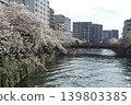 Cherry blossoms lined the riverbank 139803385