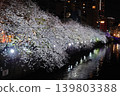 Cherry blossoms lined up along the riverbank at night 139803388