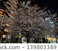 A single, ephemeral-looking cherry tree in a residential area at night. 139803389