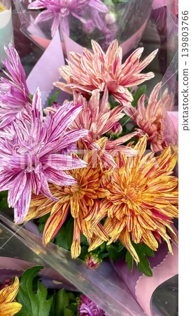 Vibrant festive bouquet of colorful striped purple and orange chrysanthemum flowers at a flower market Vibrant festive bouquet of colorful striped purple and orange chrysanthemum flowers at a flower market 139803766