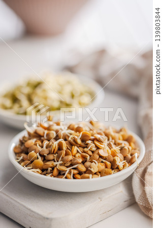 Sprouted Lentils in White Bowl on Wooden Board Close-Up Healthy Plant-Based Protein Food Sprouted Lentils in White Bowl on Wooden Board Close-Up Healthy Plant-Based Protein Food 139803844