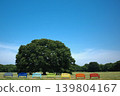 A park scene with a blue sky and colorful benches. 139804167