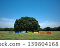 A park scene with a blue sky and colorful benches. 139804168