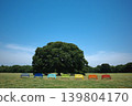 A park scene with a blue sky and colorful benches. 139804170