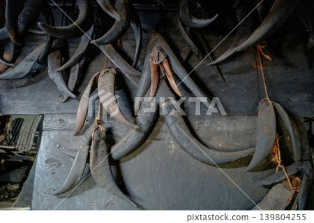Lanyu, Taiwan: Traditional sheep horns hanging Lanyu, Taiwan: Traditional sheep horns hanging 139804255