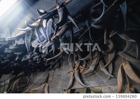 Scenery of Taidong Lanyu, Taiwan: Goat horns and livestock skull specimens hanging inside the basement of the Dawe tribe Scenery of Taidong Lanyu, Taiwan: Goat horns and livestock skull specimens hanging inside the basement of the Dawe tribe 139804260