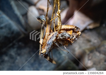 台灣台土蘭峪風景:台灣大峪族地下房屋中的飛魚和魚的特殊照片。 台灣台土蘭峪風景:台灣大峪族地下房屋中的飛魚和魚的特殊照片。 139804264