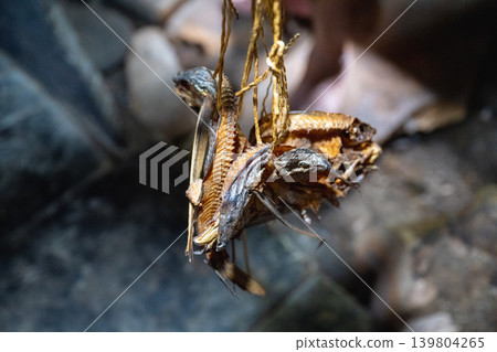 台灣台土蘭峪風景:台灣大峪族地下房屋中的飛魚和魚的特殊照片。 台灣台土蘭峪風景:台灣大峪族地下房屋中的飛魚和魚的特殊照片。 139804265