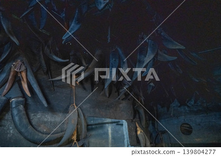 Taiwan Taidong Lanyu landscape: special photograph of the mandible of Goathorn and Yuan hanging on the basement floor of the Da Wu tribe Taiwan Taidong Lanyu landscape: special photograph of the mandible of Goathorn and Yuan hanging on the basement floor of the Da Wu tribe 139804277
