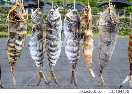 台灣台東蘭嶼風景:2026飛魚金王銀武樂傳典型風格乾飛魚乾近景劍藝細部特輯 台灣台東蘭嶼風景:2026飛魚金王銀武樂傳典型風格乾飛魚乾近景劍藝細部特輯 139804296