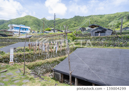 台灣台東蘭嶼景觀:雅音步村、通達吳族地下建築、方州建築群、石邊村全景 台灣台東蘭嶼景觀:雅音步村、通達吳族地下建築、方州建築群、石邊村全景 139804299