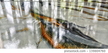 Glossy marble texture with gold veins and light reflection Glossy marble texture with gold veins and light reflection 139804760