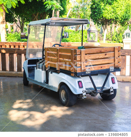 A small cargo golf cart is an indispensable assistant for a farmer on the farm 139804805