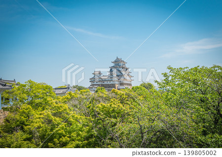 日本：藍天下的兵庫縣姬路城 139805002