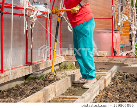 Woman gardener using manual cultivator tool in greenhouse. Senior female cultivating soil bed in spring. Agriculture work, hobby farming, vegetable garden maintenance and hobby lifestyle. Woman gardener using manual cultivator tool in greenhouse. Senior female cultivating soil bed in spring. Agriculture work, hobby farming, vegetable garden maintenance and hobby lifestyle. 139805096
