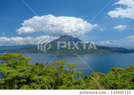 View from a hilltop overlooking Sakurajima and Kinko Bay 139805114
