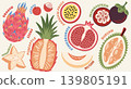 Illustration set of colorful exotic tropical fruits with text labels. Dragon fruit, pineapple, mangosteen, and durian for educational posters, healthy food menu, and organic product packaging. 139805191