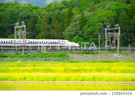 東海道新幹線飛馳穿過鬱鬱蔥蔥的綠地——鏡頭搖攝。 東海道新幹線飛馳穿過鬱鬱蔥蔥的綠地——鏡頭搖攝。 139805429